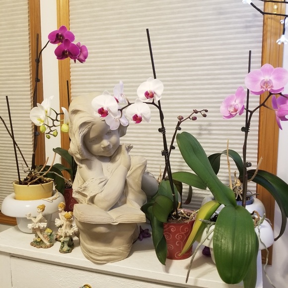 Meet your Posher, Le - Picture 2 of 2